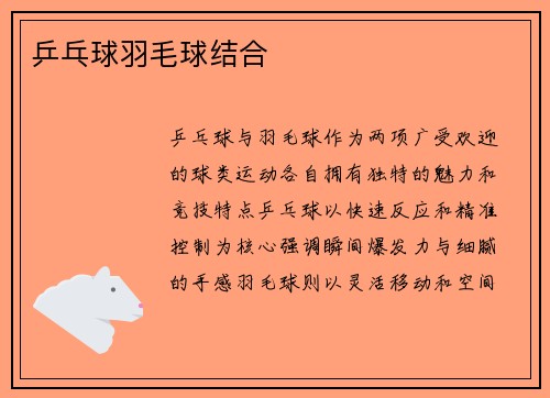 乒乓球羽毛球结合