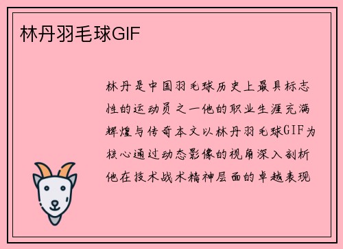 林丹羽毛球GIF
